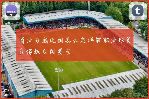 商业分成比例怎么定详解职业球员肖像权合同要点